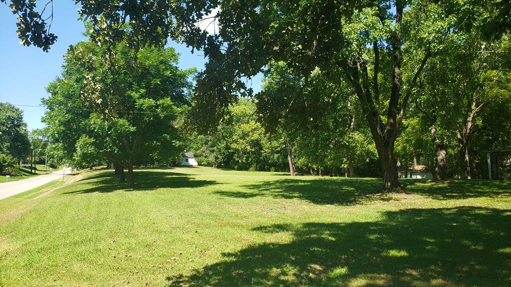 Listing Photo 49367